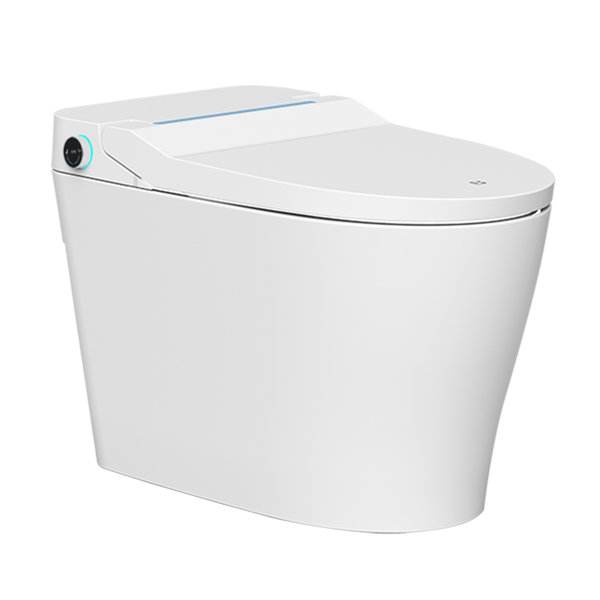 Bejoan 1.28 Gallons GPF Elongated Floor Mounted Bidet Toilet (Seat